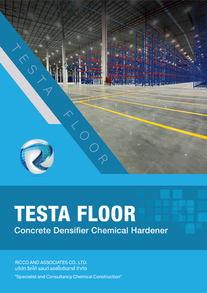 TESTA FLOOR