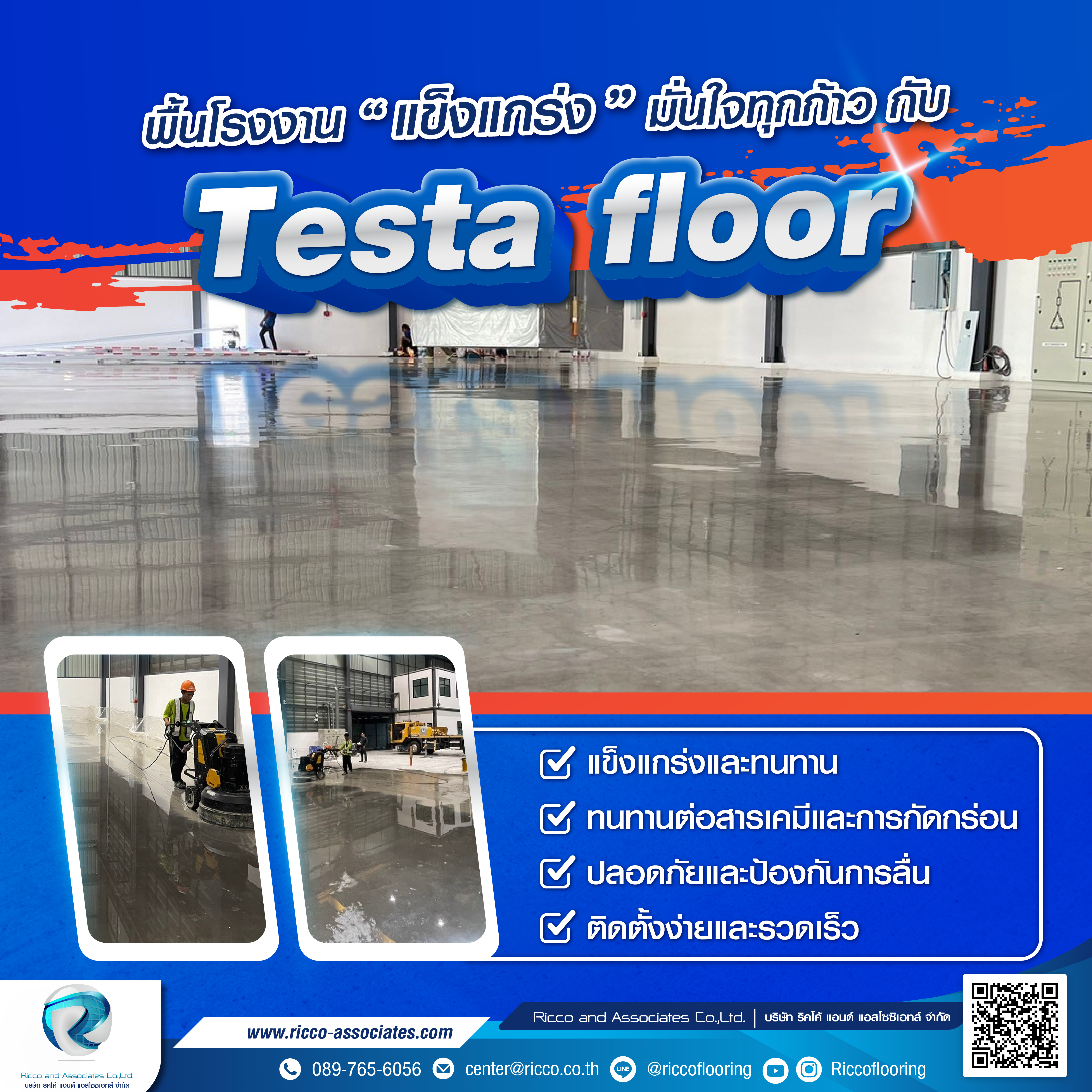 Testa Floor